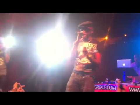 Pied piper mc neat live p.a at curiosity