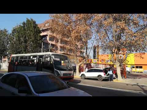 Bus de la empresa fenur línea 124 pasando por el centro de Villa alemana 