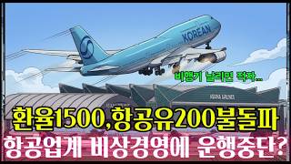 비행기"대한민국 하늘길이 무너진다" 아시아나·티웨이 비상경영 선포의 소름 돋는 내막