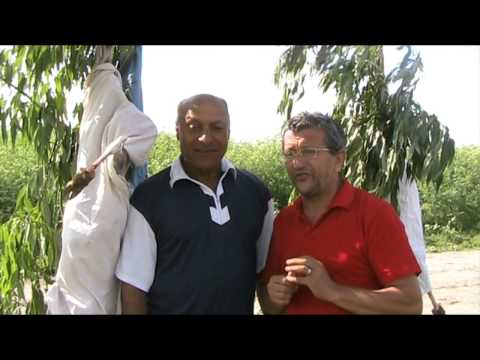 TOT RITUALUL - Sacrificarea mielului de INALTARE ! Rudarii din Comuna PRUNDU, Giurgiu 29 05 2014