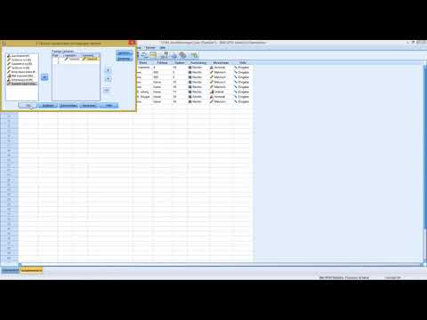 SPSS - Mittelwert t-Test (abhängige Gruppen)