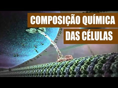 Chemical composition of cells