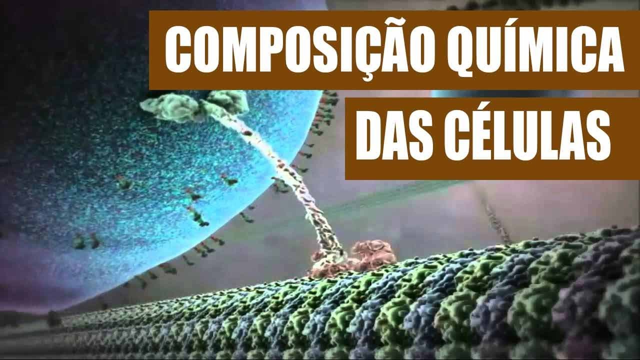 Composição química das células