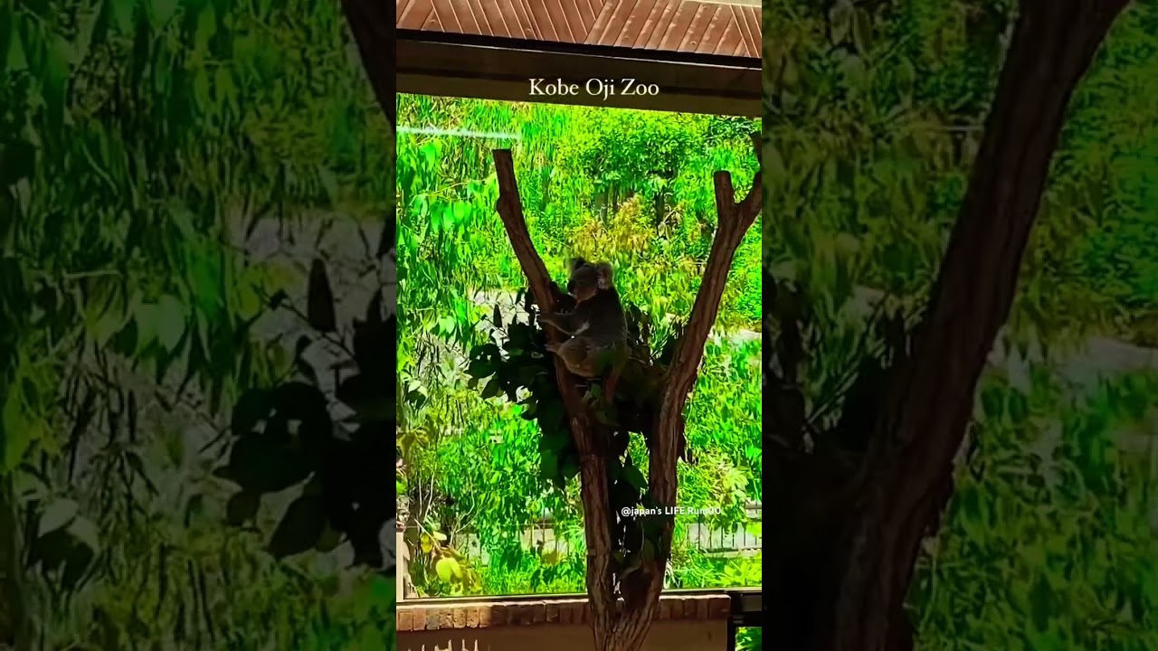 YouTube Short thumbnail