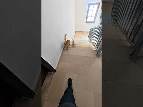 ABS olmayınca böyle oluyor