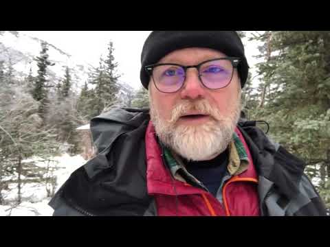 Marc Cameron : Open Carry: An Arlis Cutter Novel #1