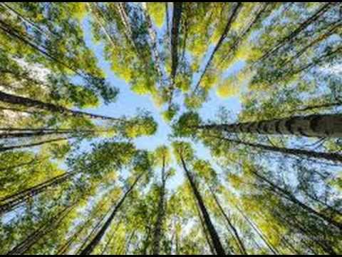 Inkswel Spacek Steve Sutherland Harvey Outer Space Connection