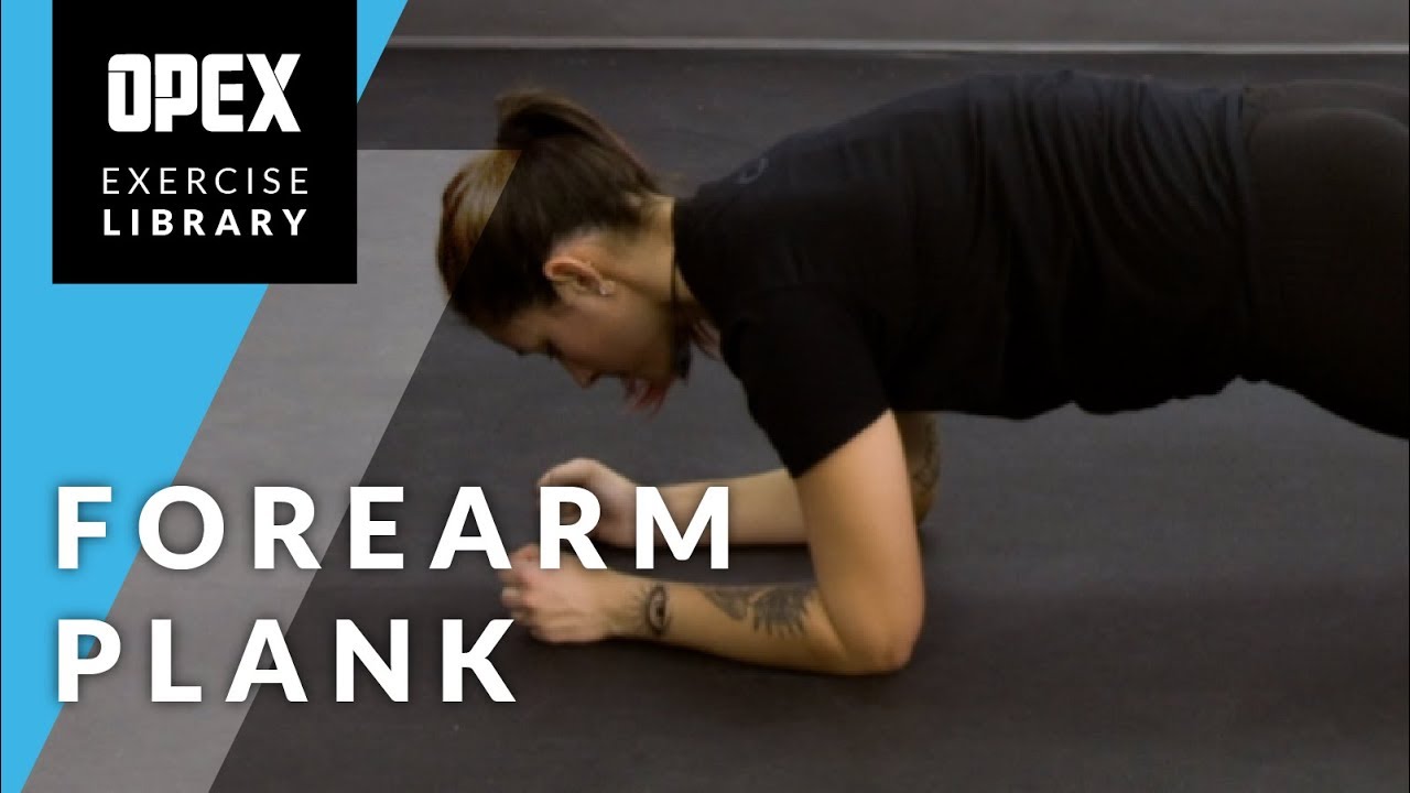 Forearm Plank - OPEX Exercise Library - YouTube
