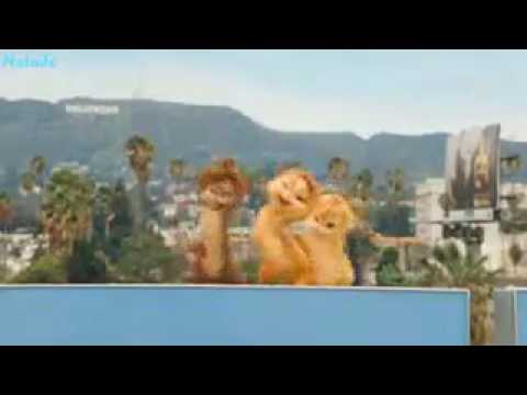 Happy birthday to you.tupai happy 😉