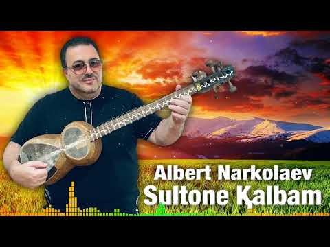 Albert Narkolayev - Sultone Қalbam //Альберт Нарколаев - Султони Қалбам (Tar cover)