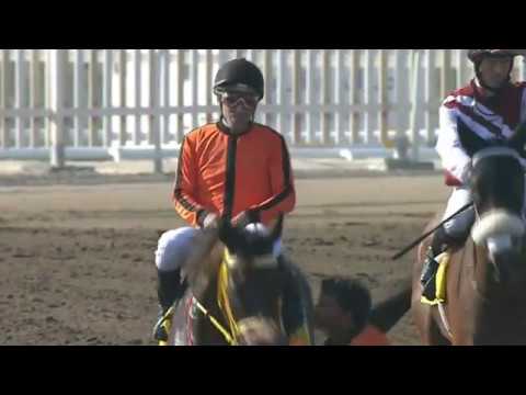 SALVADORI - 11 Nov 2016 -  JEBEL ALI - Race 2