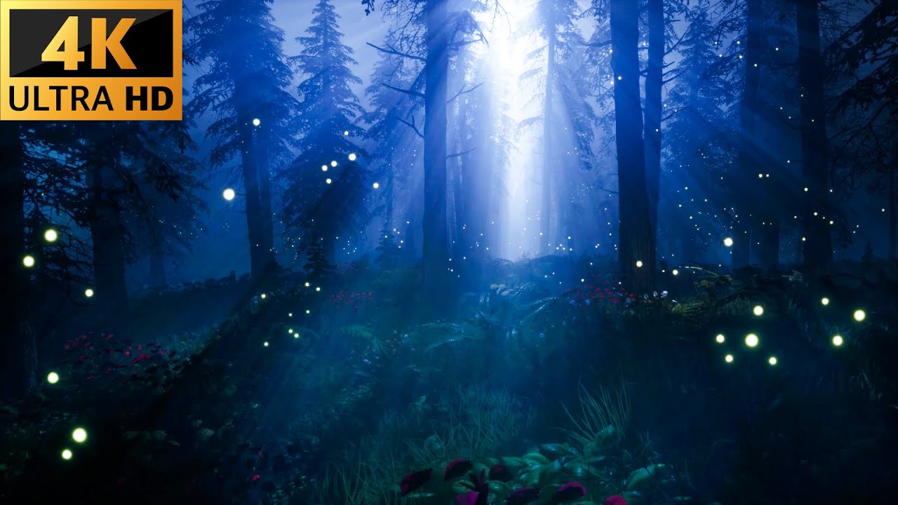 Fireflies in a Magical Forest 4K | For Sleep, Study and Relaxation, Meditation