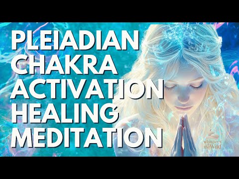 Pleiadian Light Meditation 💙 Connect with Your Cosmic Family 💙 Chakra Activation & Healing