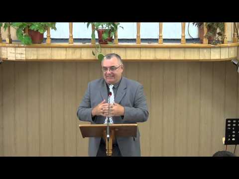 Duminica dimineata (27.VII.2014)