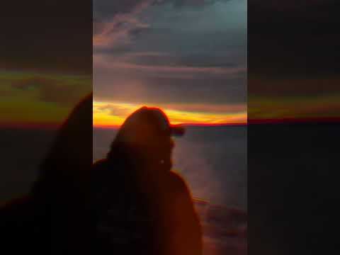 Stay High by ABEE Official (2025)