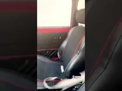 saudi arabia men play with his pet tiger 🐅🐅