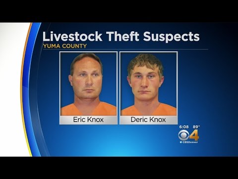 Father, Son Charged In Cattle Rustling Case