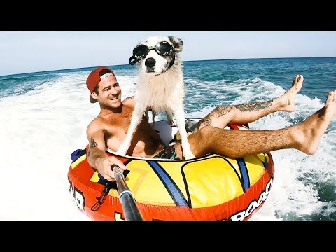 YBS Lifestyle Ep 45 - A Summers Day In The Life | My Dog Is Awesome