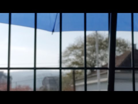 PETLIĆI Trstenik PPT – OFK Paraćin 11:0 (5:0) I-Poluvreme; Trstenik, 14. nov 2021.