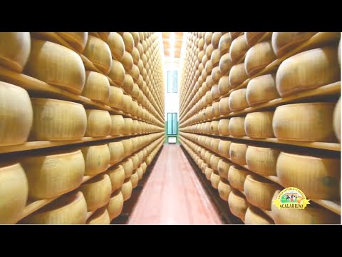 Incredible Cheese Making Factory Workers & Machines You Need To See