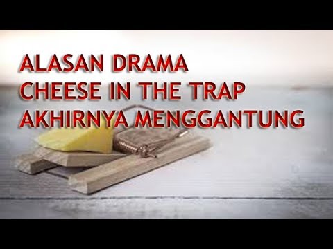 download lagu mp3 mp4 Nonton Movie Cheese In The Trap, download lagu Nonton Movie Cheese In The Trap gratis, unduh video klip Nonton Movie Cheese In The Trap