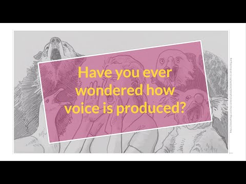 Formants, fundamental frequency and vocal tract length by a linguist and an ethologist