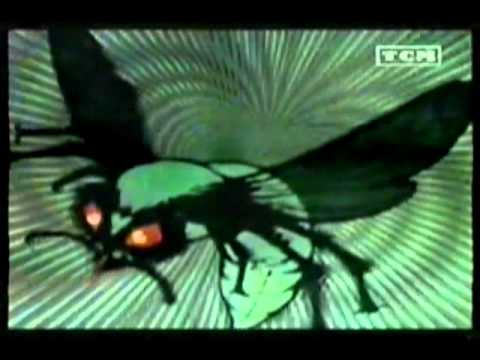 Canción el avispón verde