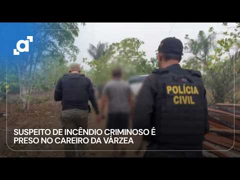 Suspeito de provocar incêndio em área de mata é preso no Careiro da Várzea