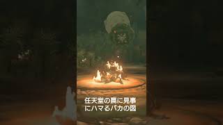 ゼルダの伝説 ティアーズ・オブ・ザ・キングダム ライクライクと爆弾バナを同時に登場させプレイヤーをミスリードする見事な罠