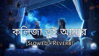 Download lagu Lokkhishona | কলিজা তুই আমার | Slowed Reverb] - Hridoy Khan | Bengal Lofi Song | 10 PM BENGALI LOFI mp3