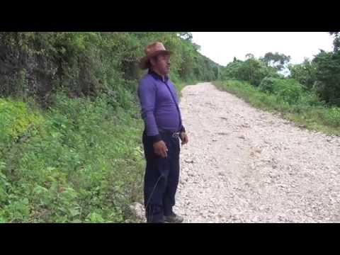 Pedro Cruz vol.15  "Gozate"