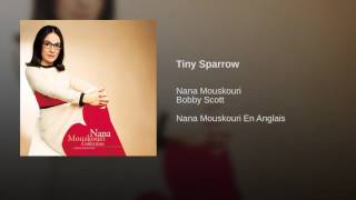 Tiny Sparrow