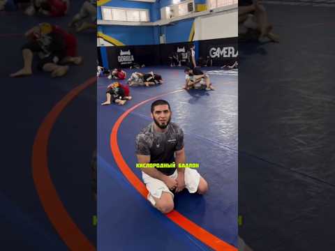 Такого удушающего от Ислама Махачева мы еще не видели в боях #ufc #mma #islammakhachev