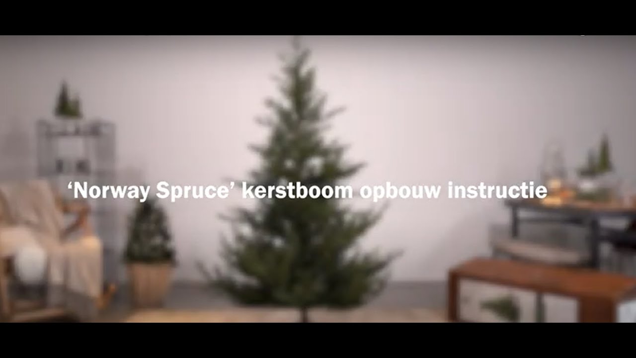 Norway Spruce kerstboom opbouw instructie