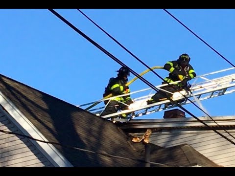 [CAMBRIDGE BOX 3-742] 3RD ALARM FIRE RIPS THROUGH A NORTH CAMBRIGDE HOUSE, KILLING A DOG