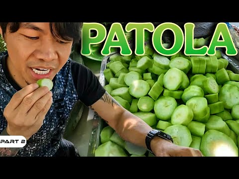 P2 - May Bunga na ang Patola ng Team Harabas - EP1986