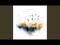 When Birds Fly South