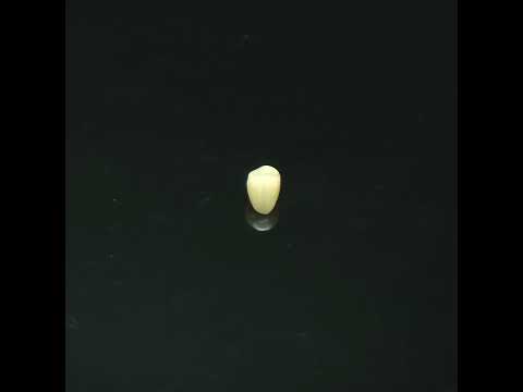 YouTube 썸네일