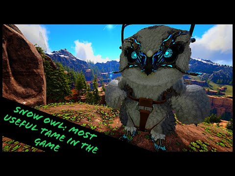 SNOW OWL: MOST USEFUL TAME IN THE GAME