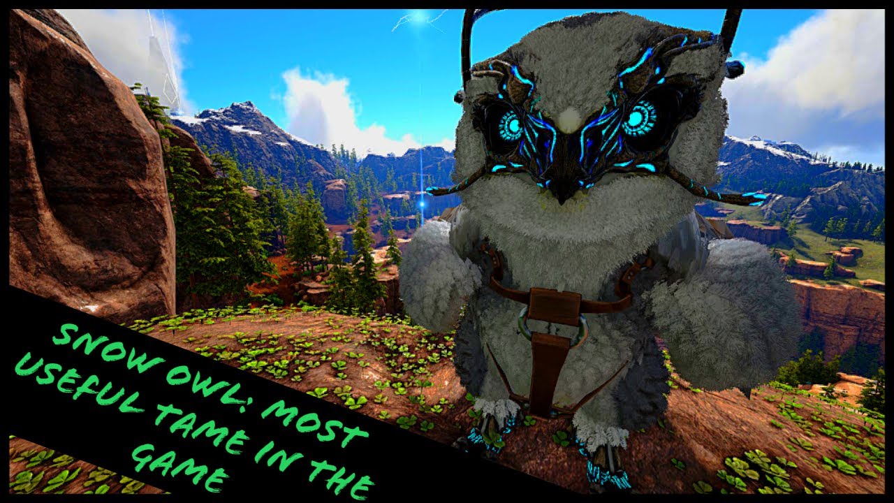 SNOW OWL: MOST USEFUL TAME IN THE GAME