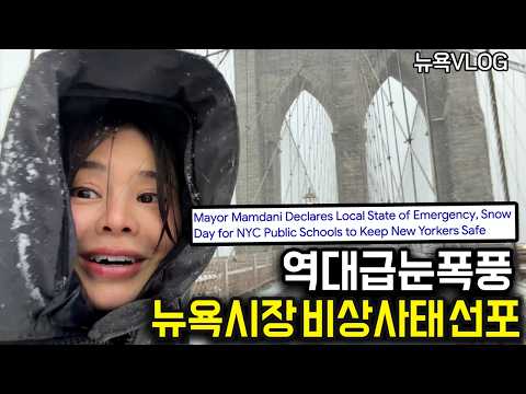 뉴욕 역대급 폭설! 비상사태 선포된 날+ but 낭만 터지는 뉴요커들⛄️