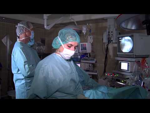 Ein eingeklemmter Nerv im unteren Rücken und Bauchschmerzen Pool in Vorsprünge in den Hals