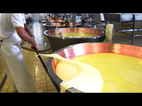 Queijo: como é produzido e quais os tipos mais conhecidos - MF Magazine