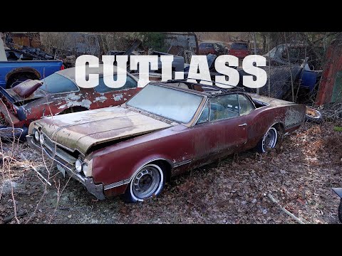 Thumbnail for A Cutlass Above by Wheelbase