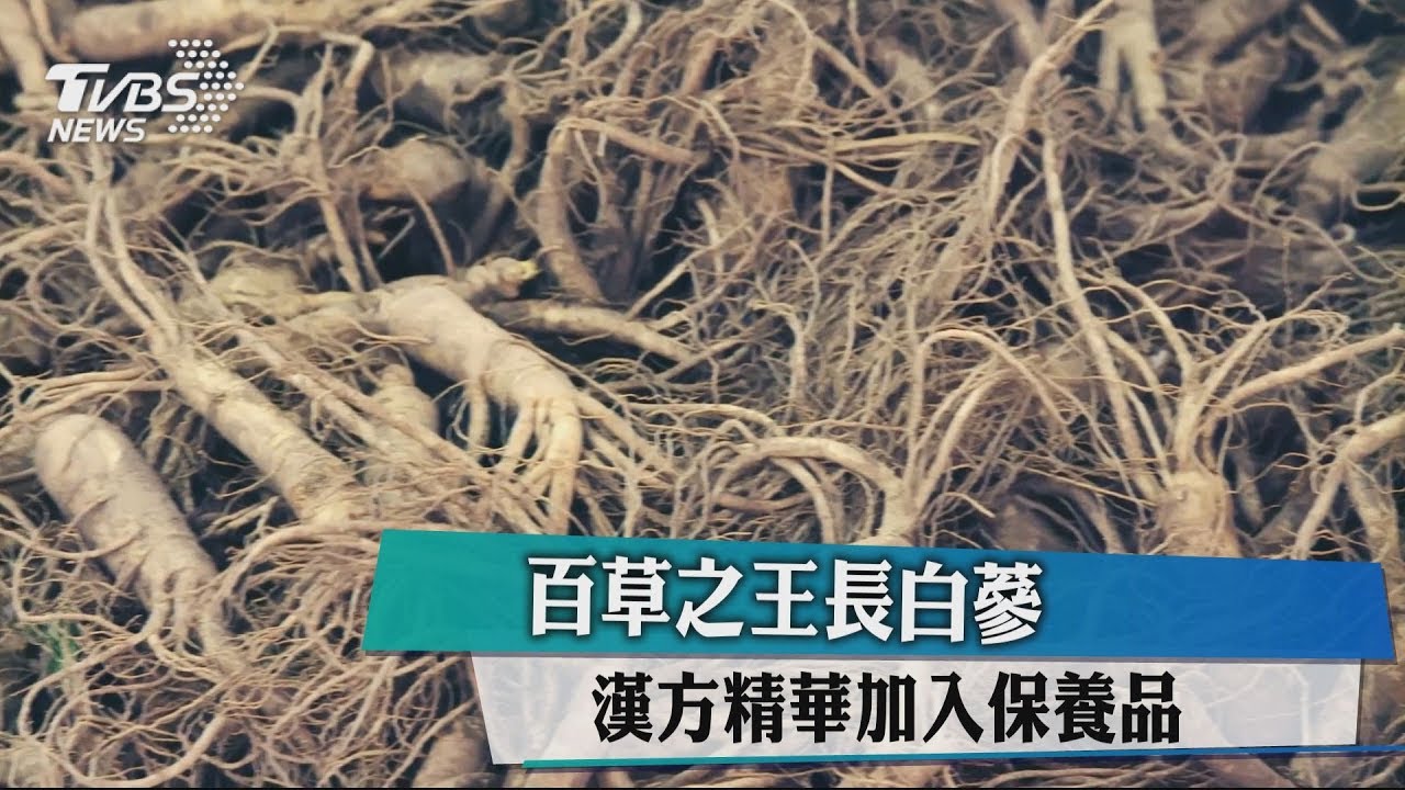 百草之王長白蔘 漢方精華加入保養品