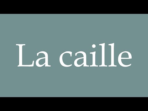How to Pronounce ''La caille'' (Quail) Correctly in French