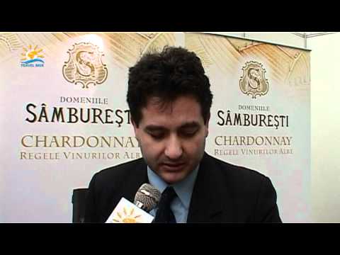 Targul International de Vinuri Goodwine 2012 Laurian Olarescu dir Marketing Valvis