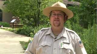 preview picture of video 'Indiana Dunes State Park | Indiana DNR'