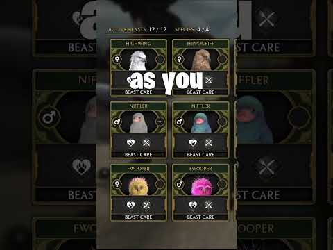 4 Things you may NOT know about BEASTS in Hogwarts Legacy 🦄