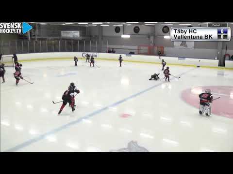 SHC-serien U12, 2019-02-02, Täby HC - Vallentuna BK